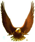 eagle flying vintage t-shirt iron-on transfer